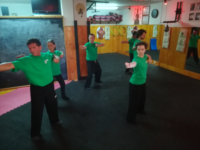 Kung Fu Academy di Sifu Mezzone scuola di wing chun e taijiquan, di wing tsun, difesa personale e arti marziali cinesi a Caserta e in Italia www.kungfuitalia.it (199)